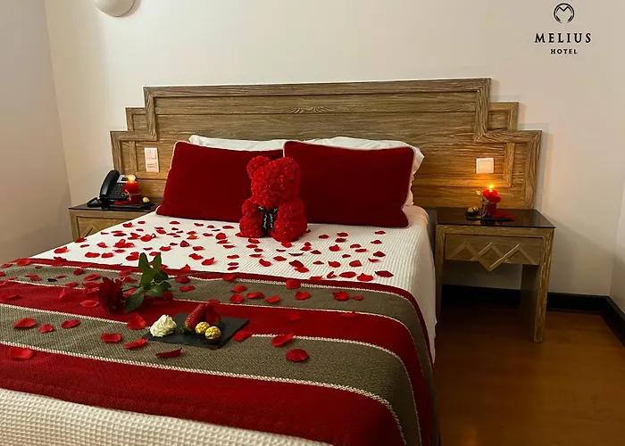 Hotel Melius